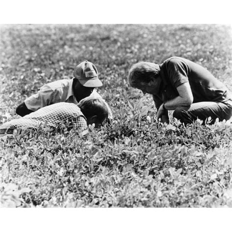 President Jimmy Carter At His Peanut Farm In Plains History (36 x 24) - Walmart.com - Walmart.com