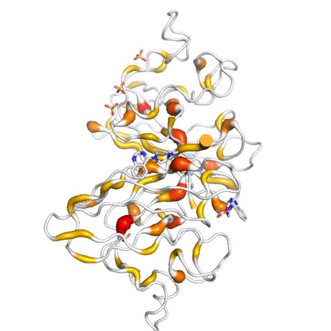 SOD1 Gene - Somatic Mutations in Cancer