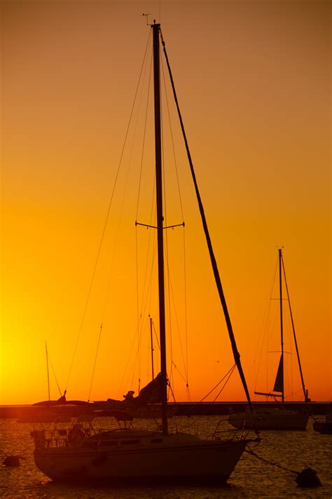 Sailboats At Sunrise Free Stock Photo - Public Domain Pictures