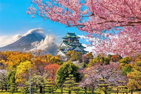 12 Best Cities in Japan | PlanetWare