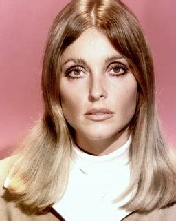 Sharon Tate (1967) | Sharon Tate fan Lily Laurent | Flickr