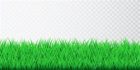 Premium Vector | Green grass border