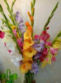 Pin by Cheryl Hancock on Gladioli | Gladiolus wedding bouquet, Gladiolus, Gladiolus flower