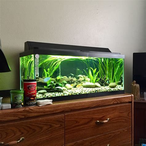 Tetra aquarium 20 gallon fish tank kit - batmanvancouver