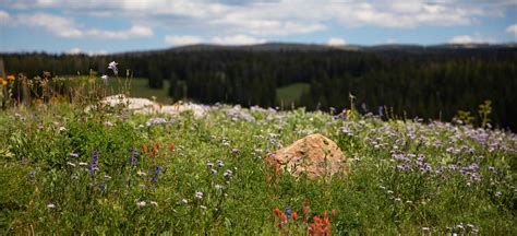 Blair Mountain Trail - Real Western Adventure