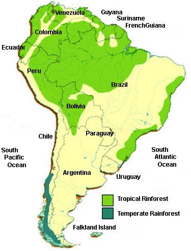 South America Rainforest Map ~ CINEMERGENTE