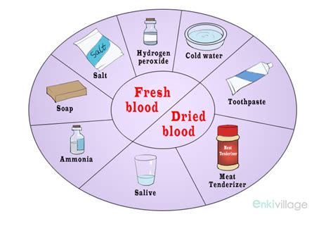 HOW TO GET BLOOD OUT OF CLOTHES - deney alnola