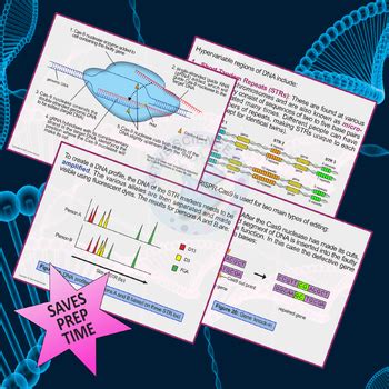 Genetic Engineering Techniques (PowerPoint presentation) US Edition