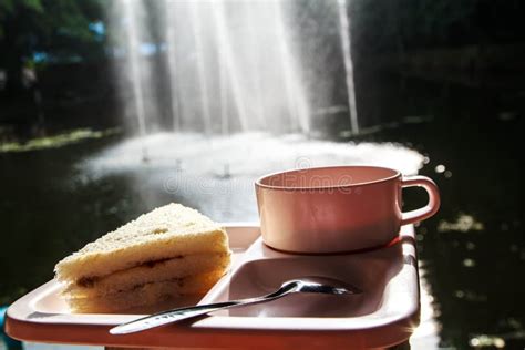 Coffee and sandwiches. stock photo. Image of gourmet - 33473510