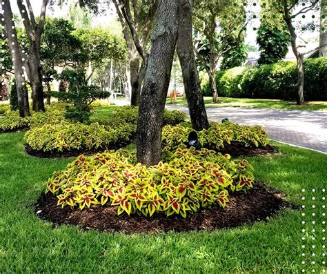 Different Types of Landscaping - Cutters Edge Pro