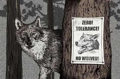 Wolf Conservation — Creature Conserve