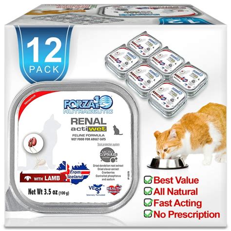 Forza10 Wet Cat Food, Kidney Renal Support ACTIWET, with Lamb 3.5oz ...