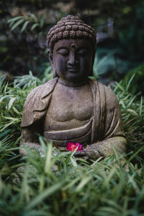 11. The Sage Archetype | 97 best free book, website, person and blog photos on Unsplash | Buddha ...