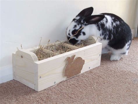 Rabbit Hay Feeder / Feeding Trough