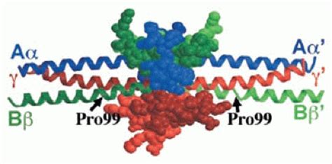 Fibrinogen Structure and Function | Oncohema Key