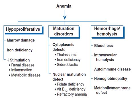 Anemias, Pathophysiology, Clinical presentation, Diagnosis & Treatment.