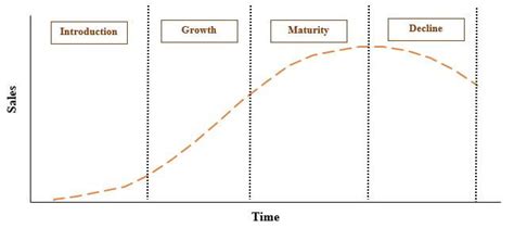 5 Stages Of Business Life Cycle