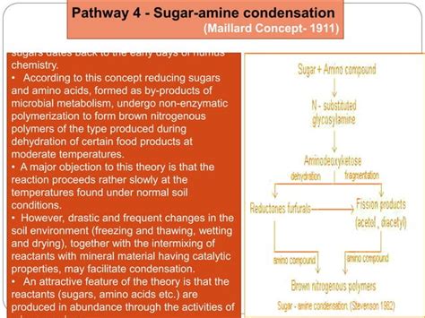 Process of humus formation