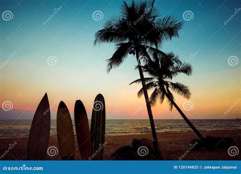 Silhouette Surfboard on Tropical Beach at Sunset Stock Image - Image of ...