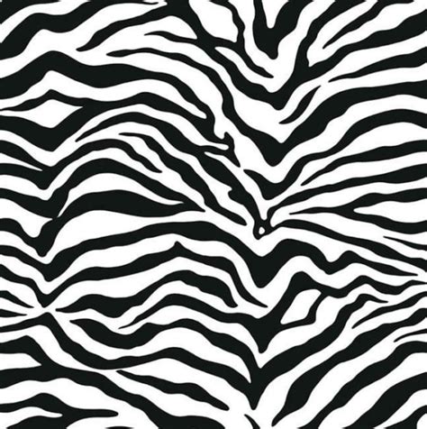 Black White Zebra Print Wallpaper Exotic Animal Stripe Faux | Etsy