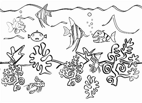 Ocean Ecosystem Drawing at PaintingValley.com | Explore collection of Ocean Ecosystem Drawing