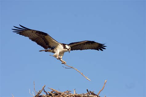 Florida Photo Tours and Workshops — Slonina Nature Photography