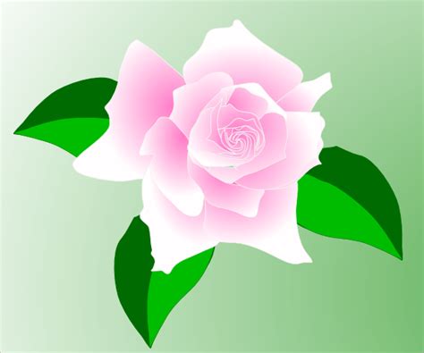 Pink-rose Clip Art at Clker.com - vector clip art online, royalty free & public domain