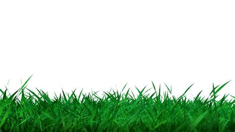 time-lapse animation growing grass Stock Footage Video (100% Royalty-free) 2348237 | Shutterstock