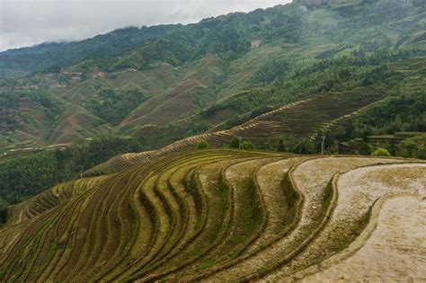 Hiking The Dragon's Backbone At Longji Rice Terraces - NOMADasaurus Adventure Travel Blog