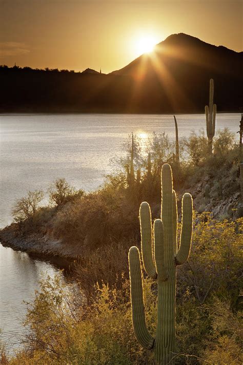 Sunset at Saguaro Lake, Arizona Photograph by Dave Wilson - Fine Art America