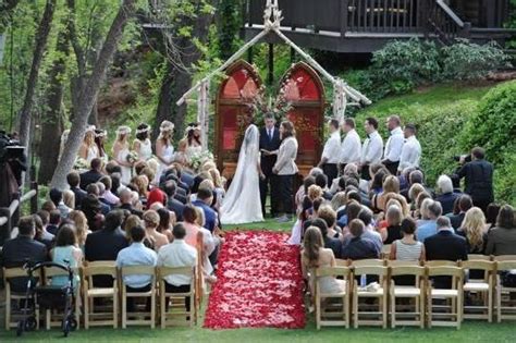 Daniel Bryan and Brie Bella Wedding: Attendees, Photos, Details for WWE Stars | Brie bella ...