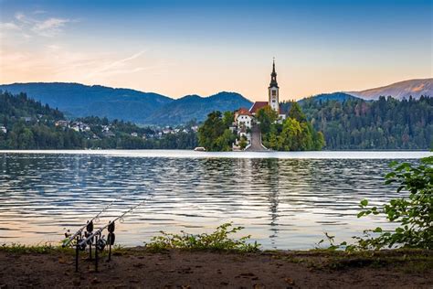 Lake Bled: Carp Fishing Experience 2024