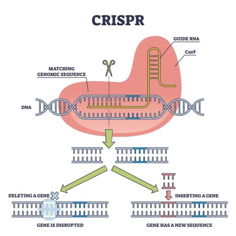 CRISPR – a gene editing tool - Lab Associates