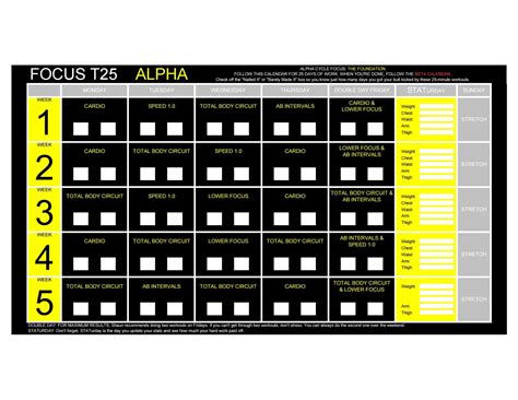 t25 alpha cardio > OFF-69%