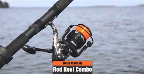 Best Catfish Rod and Reel Combo Reviews and Buying Guide