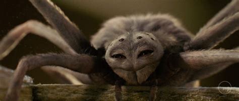 Spider Movies | 12 Best Films About Spiders - The Cinemaholic