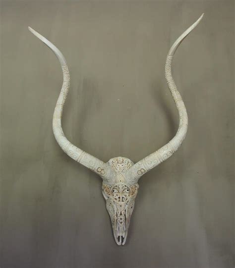 White Kudu Bull Carved - Beautiful Horns