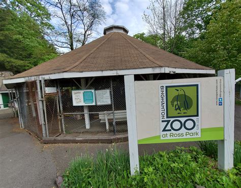 A Magical Forest Coming To Ross Park Zoo in Binghamton