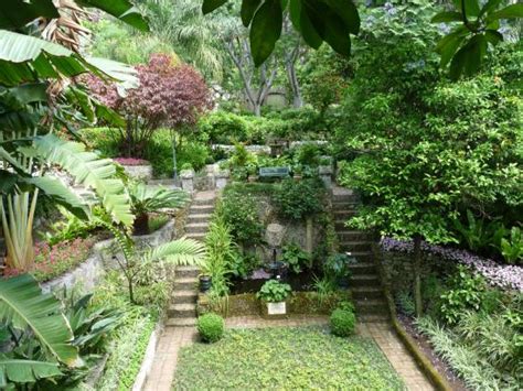 Gibraltar Botanic Gardens (The Alameda) - 2021 All You Need to Know Before You Go (with Photos ...