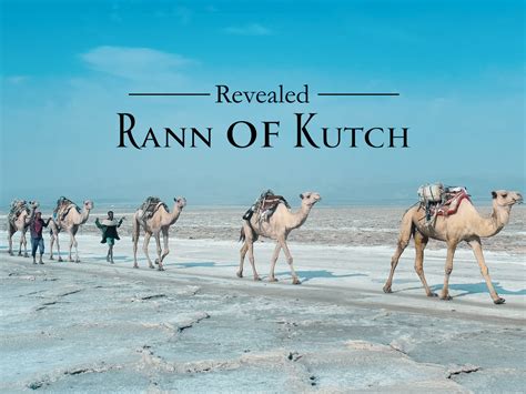 Prime Video: Revealed: Rann of Kutch - Season 1