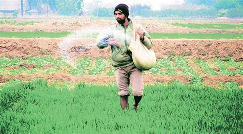 Could pesticides in food lead to obesity? | The Indian Express