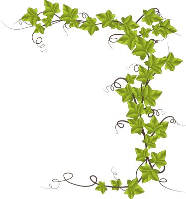 Ivy Leaves Divider - Openclipart