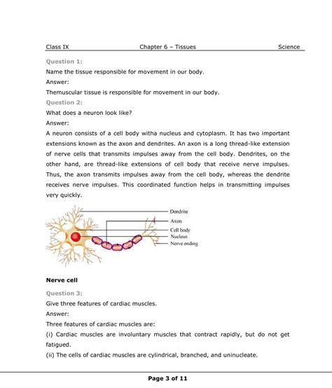 Class 9th Science Tissues NCERT Solution CBSE 2023