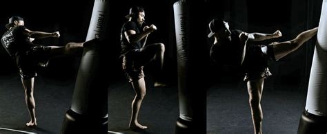 The 3 Different Types of Kicks Used In Kickboxing | FightCamp