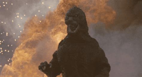 Godzilla GIF - Find & Share on GIPHY