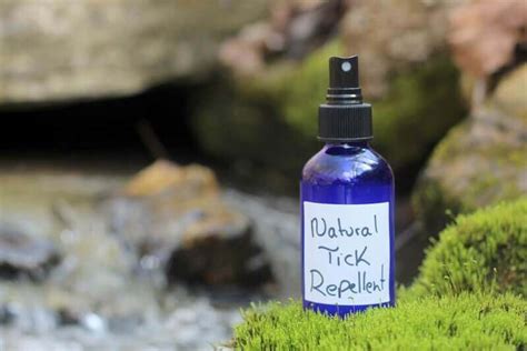 Natural Tick Repellent Homemade Recipe