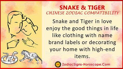 Snake and Tiger Chinese Zodiac Compatibility: Love and Relationship