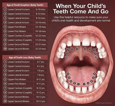 👬👭 #teeth #tooth #missing #gap #loosetooth #loose #wobbly #toothfairy #deciduous #baby # ...