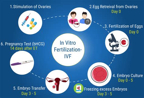 IVF Cost Ukraine: How Much is the Cost of IVF in Ukraine