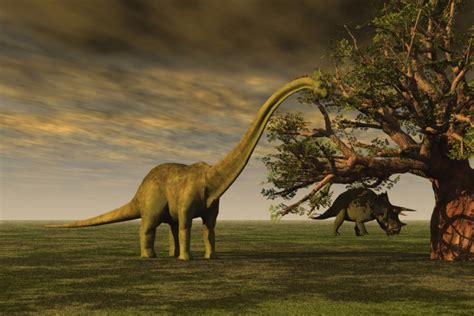 Scientists Say They Can Recreate Living Dinosaurs Within the Next Few Years